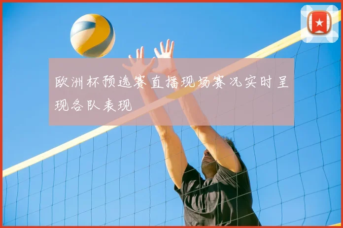 欧洲杯预选赛直播现场赛况实时呈现各队表现