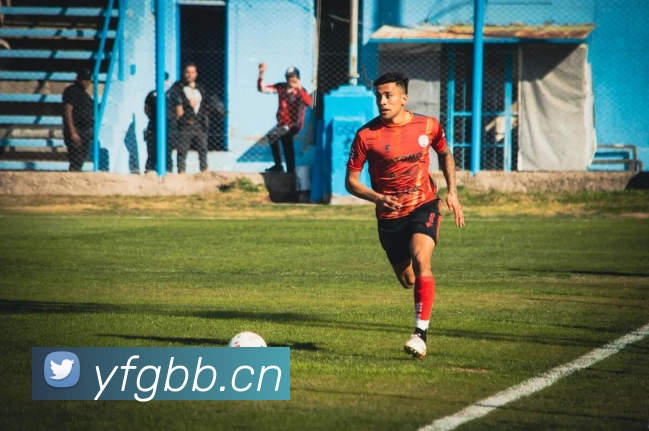 多媒体互动体验